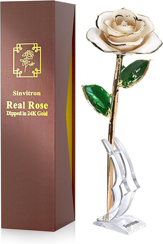 Sinvitron Gold Dipped Infinity Rose Forever Flower Decor, Resin Preserved Real Rose Birthday Gift for Women, Anniversary Present for Mom (Ivory White)