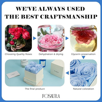 Rosaura 4-Piece Eternal Preserved Roses & Flowers Gift Box - Forever Lasting Real Roses, Preserved Flowers for Valentine's Day (Sky Blue)