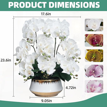 CXGS Orchids Artificial Flower Real Touch Faux Orchid in Large Ceramic Vase 23.6'' Realistic White Fake Phalaenopsis Floral Arrangements Centerpiece Table Home Indoor Decor