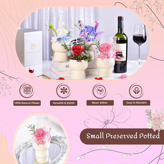 Preserved Floral Gift Set, Everlasting Rose in Small Ceramic Pot - Lasting Beauty for Home Table Decor, Mother's Day, Valentine's Day, Birthday, and Anniversary (Pink)