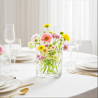 6" Wide 6" Tall Large Hand Blown Sturdy Clear Cylinder Glass Vase, Centerpiece Flower Vase for Rose, Tulip, Boquets, Hurricane Candle Holder (1, 6"x6")