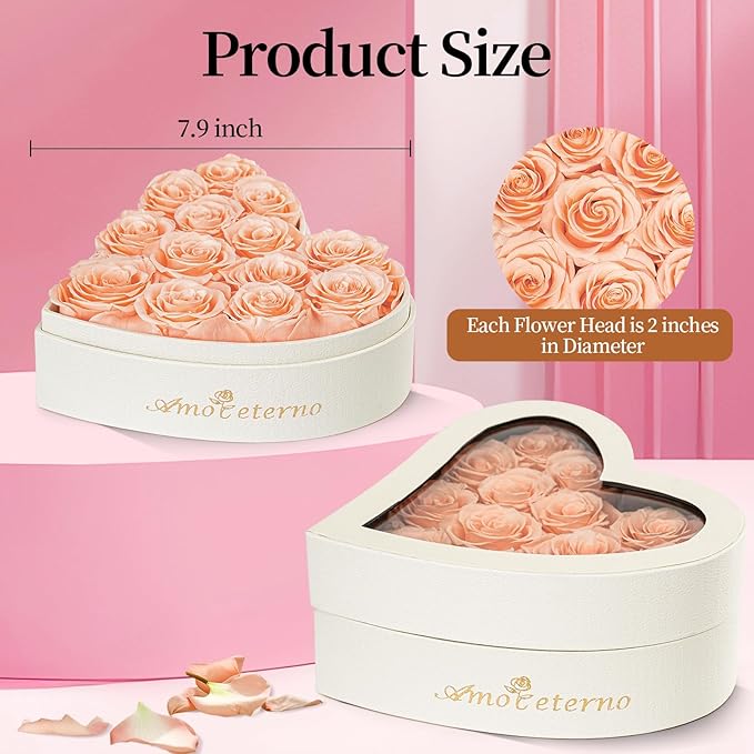 Flower, Forever Roses in A Box, Fresh Flowers, Birthday Gifts for Her, Women, Mom, Girlfriend, Wife, Grandma,Champagne Forever Roses