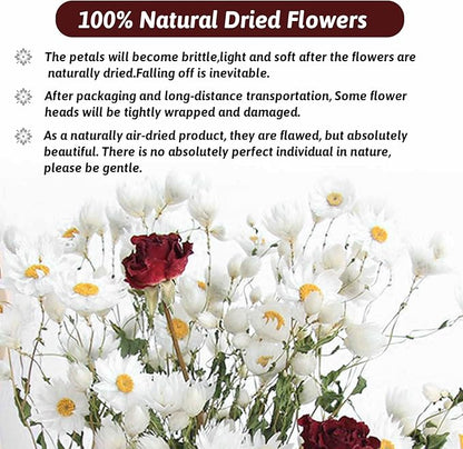Dried Daisy Flowers Bouquet, 250+ Dry White Flowers, Artificial Sunflowers, 17'' Natural Gerber Daisies Arrangements for Farmhouse Vase Decor, Wedding, DIY Home Office Party Decoration