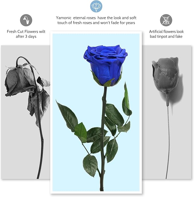 Yamonic Preserved Flowers Rose Gifts for Women, Mothers Day Rose Flowers Gifts for Mom, Real Flower Birthday Mom Gifts for Grandma, Wife, Girlfriend Gifts for Christmas, Valentine's Day, Anniversary