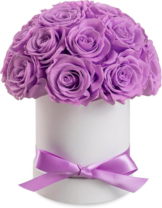 Preserved Roses Dome in a Box, Forever Real Roses Decor, Eternal Flowers for Delivery Prime, Best Gifts Birthday, Wedding, Anniversary, Mother's Day, Christmas for Her, 18-Pieces (Purple)