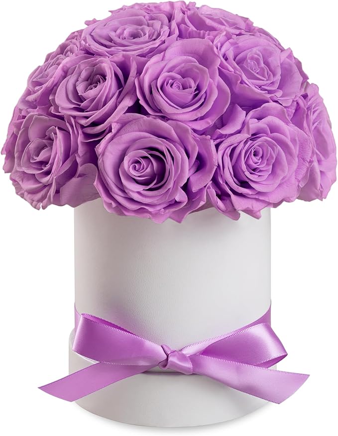 Preserved Roses Dome in a Box, Forever Real Roses Decor, Eternal Flowers for Delivery Prime, Best Gifts Birthday, Wedding, Anniversary, Mother's Day, Christmas for Her, 18-Pieces (Purple)