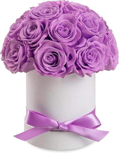 Preserved Roses Dome in a Box, Forever Real Roses Decor, Eternal Flowers for Delivery Prime, Best Gifts Birthday, Wedding, Anniversary, Mother's Day, Christmas for Her, 18-Pieces (Purple)