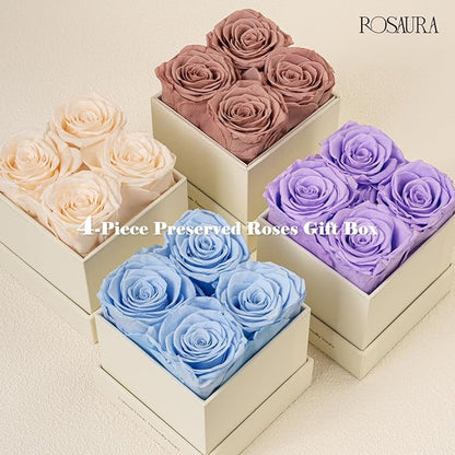 Rosaura 4-Piece Eternal Preserved Roses & Flowers Gift Box - Forever Lasting Real Roses, Preserved Flowers for Valentine's Day (Champagne)
