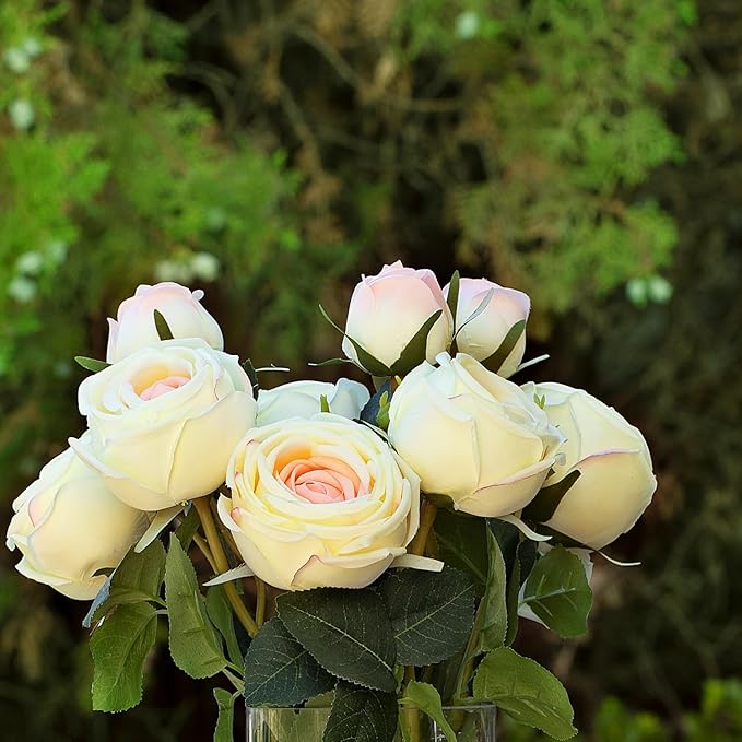 ENOVA FLORAL 9 Heads Silk Rose Artificial Flowers in Vase,Faux Rose Flowers Arrangement in Vase with Faux Water for Table Decor Centerpieces (Champagne)