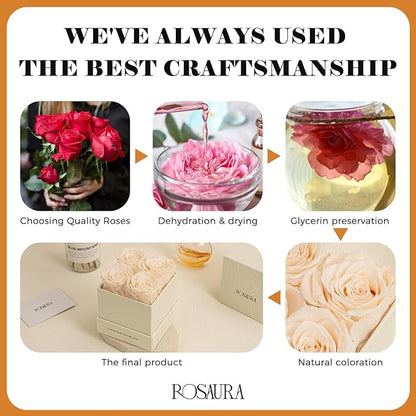 Rosaura 4-Piece Eternal Preserved Roses & Flowers Gift Box - Forever Lasting Real Roses, Preserved Flowers for Valentine's Day (Champagne)