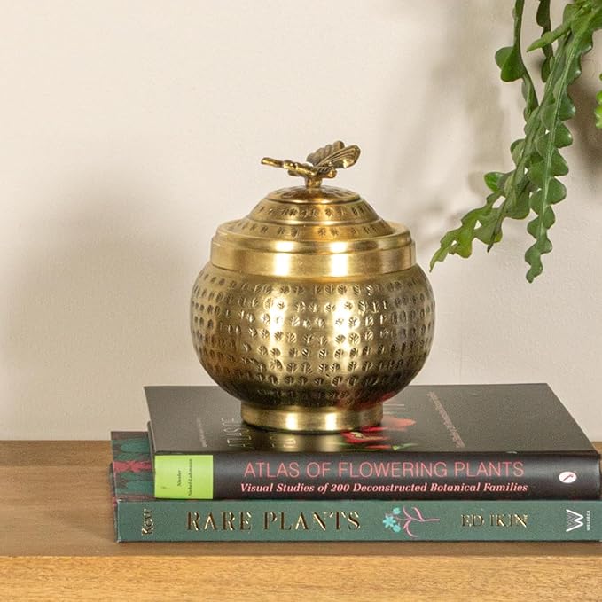 Round Hammered Metal Container with Butterfly Finial, Brass Finish