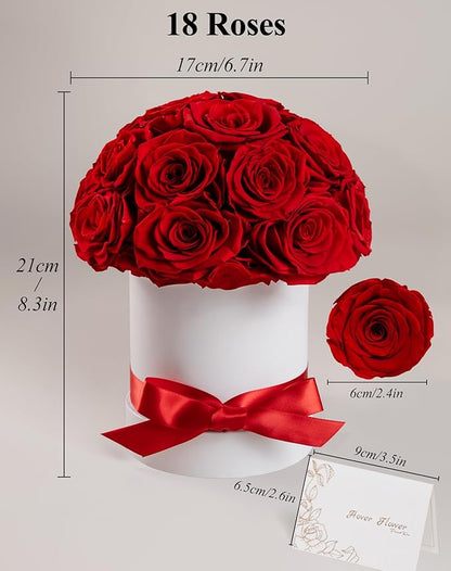 Preserved Roses Dome in a Box, Forever Real Roses Decor, Eternal Flowers for Delivery Prime, Best Gifts Birthday, Wedding, Anniversary, Mother's Day, Christmas for Her, 18-Pieces (Red)