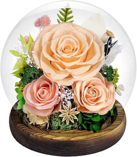 Preserved Roses Forever Flowers in Glass - Birthday Gifts for Women Mom, Real Flowers for Delivery Prime | Rose Gift for Grandma Wife Sister Friend (Mix Champagne)