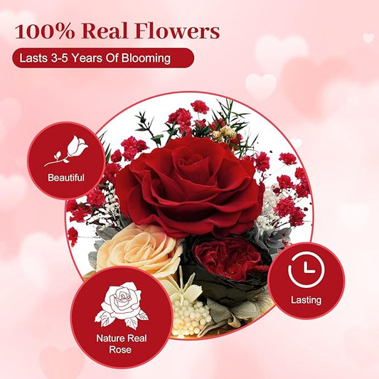 Preserved Flowers Birthday Gifts for Women Preserved Rose in Glass Dome Forever Fresh Flowers for Delivery Prime Red Eternal Rose Gifts for Her Valentines Day Anniversary for Wife Girlfriend