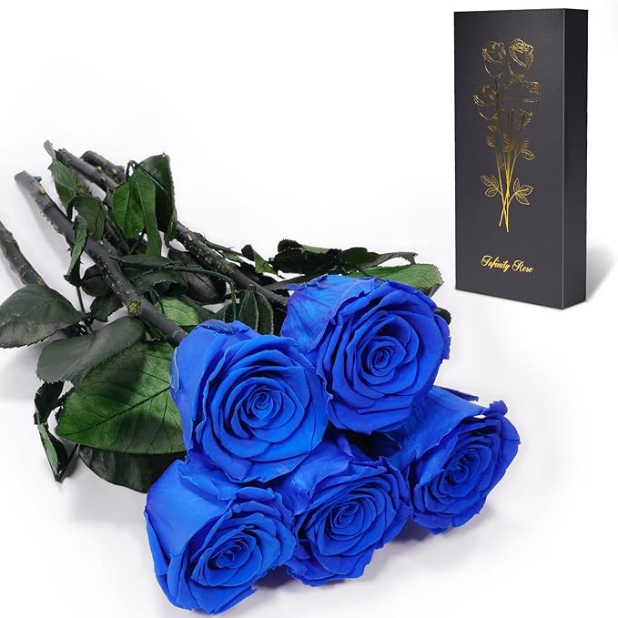 Yamonic Preserved Flowers Rose Gifts for Mom Grandma, Mom Birthday Gifts for Women, Mothers Day Real Flower Rose Gifts for Mom,Her,Wife,Girlfriend on Christmas,Valentine's Day,Anniversary(5 Rose)