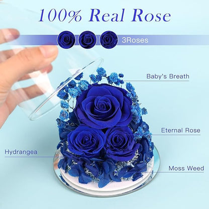 FIACO Preserved Flower Rose Gifts for Women, Forever Eternal Fresh Flowers in Glass Angel Figurines Flowers for Delivery for Grandma Mom Sister Her Wife on Mothers Day Birthday Christmas