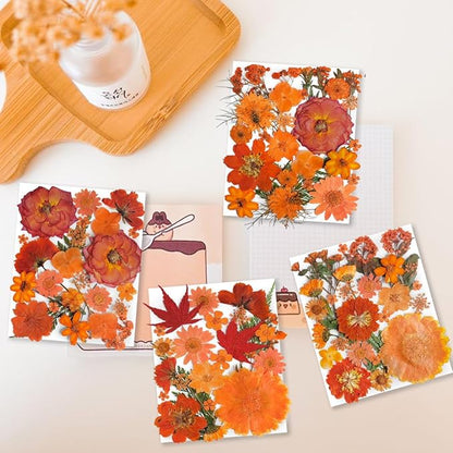 150PCS Orange Fall Dried Pressed Flowers with Butterfly Stickers - Youthbro Real Nature Flowers Set for Resin DIY Jewelry Candle Soap Vase Making Nail Card Scrapbook Art Craft Floral Decors