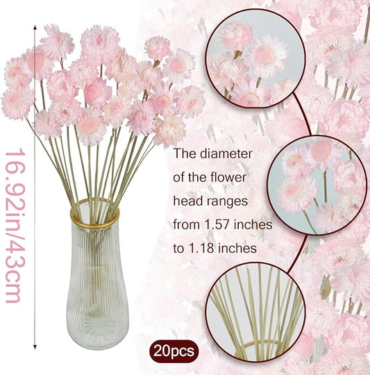 20 Pcs Natural Dried Daisy Flowers Bouquet Dried Flower Daisies Light Pink Dried Sunflowers Chrysanthemum with Stem for Wedding Farmhouse Table Vase Decor Home DIY Flower Arrangement