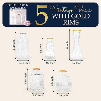 Luxury Glass Bud Vase Set of 5 – Hand Painted Gold Rim Mini Vases, Elegant Small Glass Vases for Centerpieces, Vintage Clear Flower Vases for Wedding, Table, Home & Party Décor