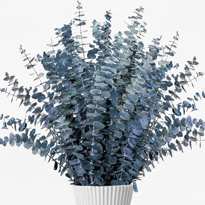 26Pcs Real Dried Eucalyptus Stems, 17" Blue-Green Preserved Eucalyptus Stems for Vase, Home Decor, Farmhouse, Dried Flowers Table Centerpiece Arrangement