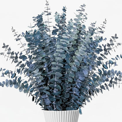 26Pcs Real Dried Eucalyptus Stems, 17" Blue-Green Preserved Eucalyptus Stems for Vase, Home Decor, Farmhouse, Dried Flowers Table Centerpiece Arrangement