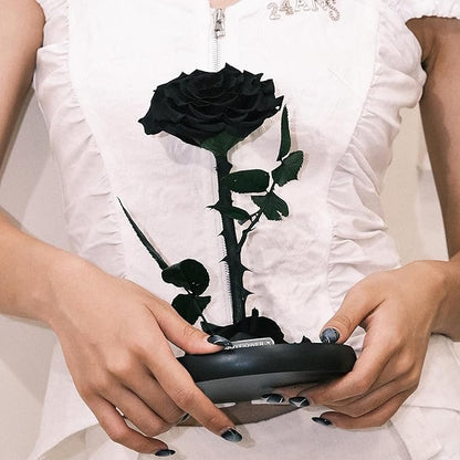JoyFlower Single Rose Real Rose Flower Gifts for Mom from Daughter Son, Birthday Gifts for Women, Eternal Rose Preserved Flowers for Delivery Prime for Christmas Valentine's Mothers Day(Black)
