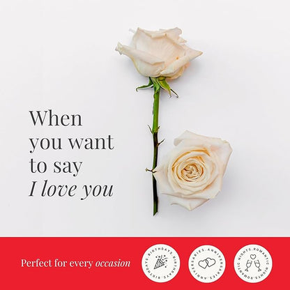 BloomsyBox - White Roses - 24 Long Stems,Long Lasting, Hand-Tied in Eco-friendly, Vase Not Included, Fresh Flowers for Delivery – Gift for Birthday, Anniversary, Get Well, Congratulations, Wedding