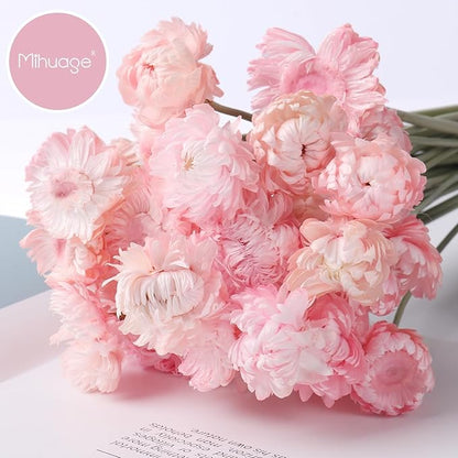 Dried Flower 30PCS Daisy Bouquet Preserved Chrysanthemum Dry Flower for Vase Home décor Party DIY Arrangement Wheat Straw Bulk (Light Pink)