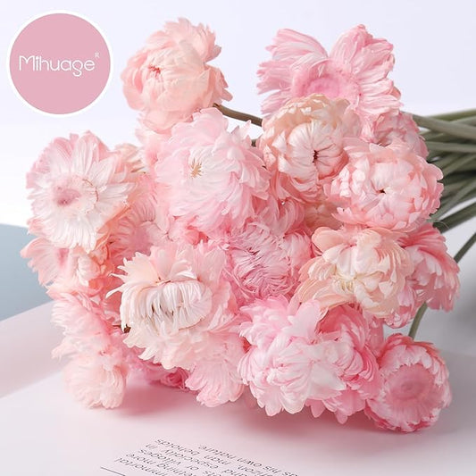 Dried Flower 30PCS Daisy Bouquet Preserved Chrysanthemum Dry Flower for Vase Home décor Party DIY Arrangement Wheat Straw Bulk (Light Pink)