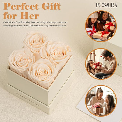 Rosaura 4-Piece Eternal Preserved Roses & Flowers Gift Box - Forever Lasting Real Roses, Preserved Flowers for Valentine's Day (Champagne)