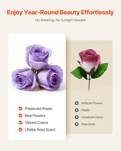 VEVOR Forever Flowers, 50 Preserved Roses in a Box, Eternal Flowers Immortal Bouquet Birthday Present for Women Her Wife Mothers, Anniversary, Valentine's Day,Christmas, Lavender Purple