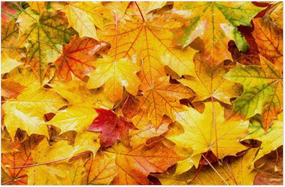 Autumn Maple Leaf Fall Placemats Set of 4 PVC Vinyl Non Slip Table Mats Heat Resistant Place Mats Washable Wipeable Dining Table Mat for Kitchen Decor Party Indoor Outdoor Decorative Gift