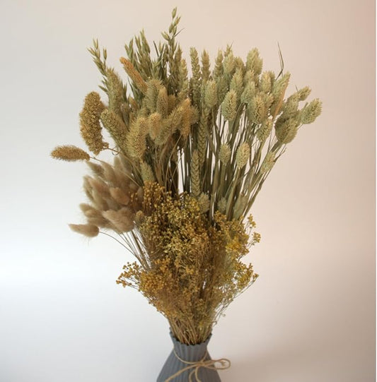 Dried Flower Bouquet & Floral Mix Premium Hand-Packed Natural Dried Plants for Home Decor, Bouquets, and Arrangements – Made in Italy (Natural)