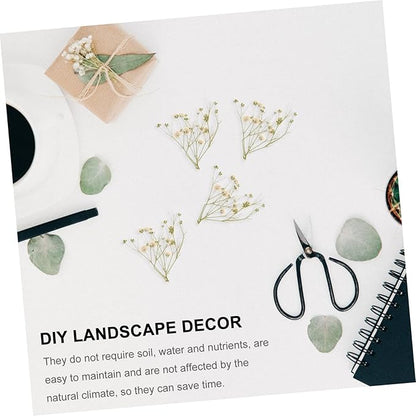 Natural Eternal Dried Flower Bouquet DIY Kit Stems S Breath Floral Adornments for Home Decor Vase Filling Rustic Wedding Decorations