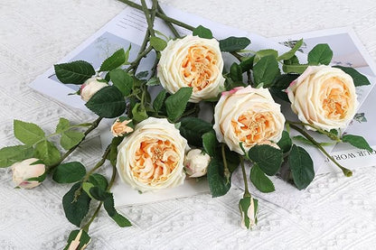 Real Touch Austin Roses Peonies Artificial Flowers 4 Bouquets Latex Fake Peonies with Long Stem Realistic Faux Peonies Flower for Wedding Party Home Table Centerpieces Decorations (Champagne)
