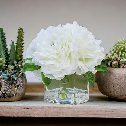 ENOVA HOME Silk Peony Flowers Arrangements in Cube Glass Vase with Faux Water for Home Table Wedding Centerpiece Decoration (Cream)