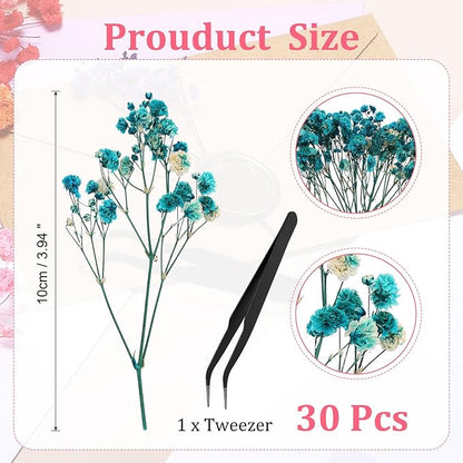 PATIKIL Mini Dried Gypsophila Flower Kit, 30Pcs 4 Inch Blue Natural Pressed Floral Bundles with Tweezer for DIY Resin Crafts Gift Wedding Christmas Card Decor Flower Bouquets