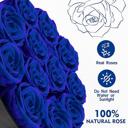 Forever Flowers,12 Roses in A Box，Real Preserved Roses，Birthday Gift for Women,Mother's Day, Anniversary - Blue Rose