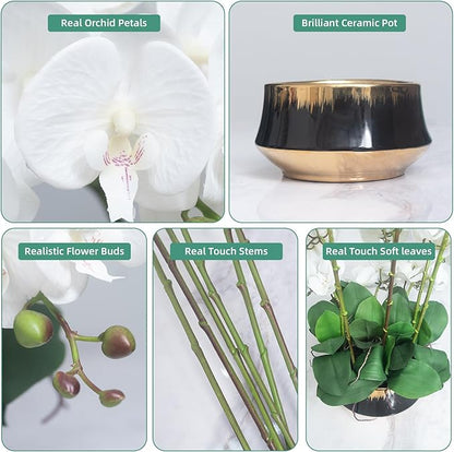 CXGS Orchids Artificial Flower Real Touch Faux Orchid in Large Ceramic Vase 23.6'' Realistic White Fake Phalaenopsis Floral Arrangements Centerpiece Table Home Indoor Decor