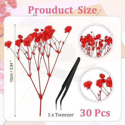 PATIKIL Mini Dried Gypsophila Flower Kit, 30Pcs 4 Inch Red Natural Pressed Floral Bundles with Tweezer for DIY Resin Crafts Gift Wedding Christmas Card Decor Flower Bouquets