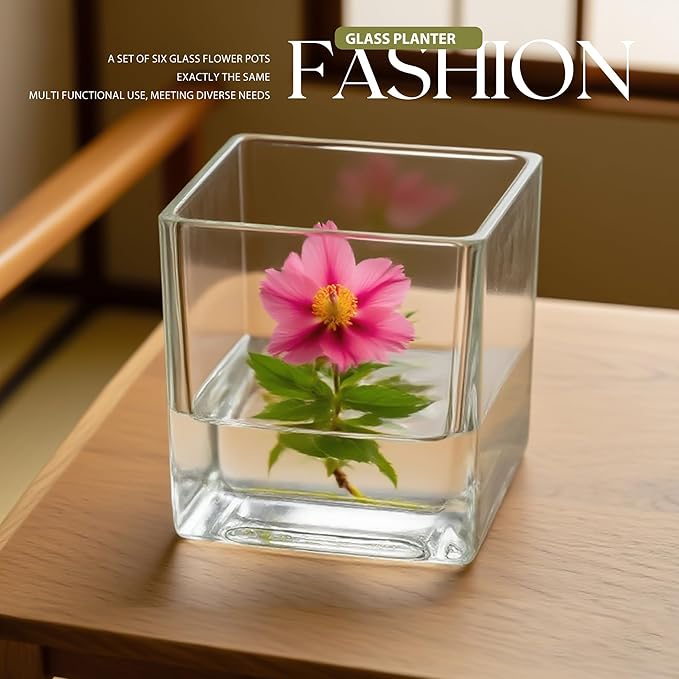Set of 6 Square Glass Vases for Centerpieces – 4" x 4" x 4" Clear Short Vases, Flower Vase, Plant Terrariums, or Candle Holders for Wedding Centerpieces, Office Decor, Home Décor, Parties