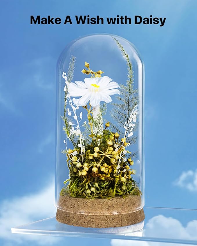 JoyFlower Preserved Daisy in Glass Dome, Real Daisy Eternal Flowers Gifts for Women, Preserved Flower Friendship Gifts for Girlfriend Best Friend Sisters Daughter Birthday Graduation Gift