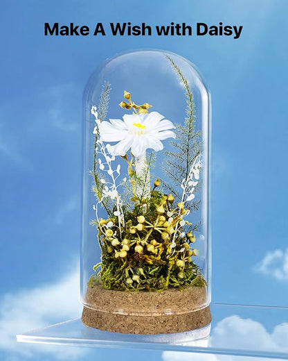 JoyFlower Preserved Daisy in Glass Dome, Real Daisy Eternal Flowers Gifts for Women, Preserved Flower Friendship Gifts for Girlfriend Best Friend Sisters Daughter Birthday Graduation Gift