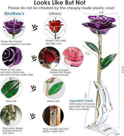 Sinvitron Gold Dipped Infinity Rose Forever Flower Decor, Resin Preserved Real Rose Birthday Gift for Women, Anniversary Present for Mom (Purple)