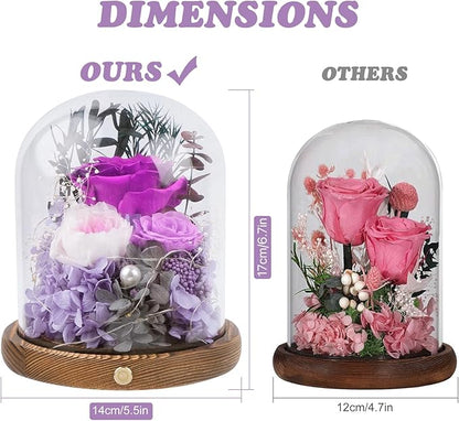 Large Preserved Flowers with Card&Box-Flowers for Delivery Prime,Eternal Rose with Lights,Roses in Glass Dome,Romantic Gift for Her,Decoration,Fresh Rose Flowers for Mom,Birthday,Anniversary (Purple)