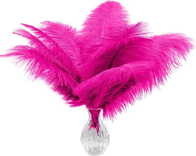 Piokio 20pcs Natural Hot Pink Ostrich Feathers 10-12 inch (25-30cm) Bulk Feathers for Home Decoration and DIY Clothing and DIY Clothes Decoration, Gatsby Decorations
