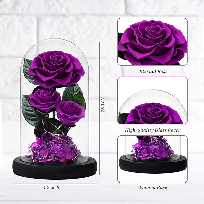 3 Preserved Flowers Roses in Glass Dome with Light for Beauty and The Beast Decor Real Rosas Eternas for Women Mom Birthday,Forever Purple Roses for Delivery, for Wife Girlfriend Her