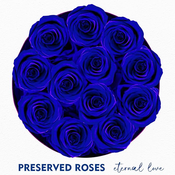 Forever Flowers,12 Roses in A Box，Real Preserved Roses，Birthday Gift for Women,Mother's Day, Anniversary - Blue Rose