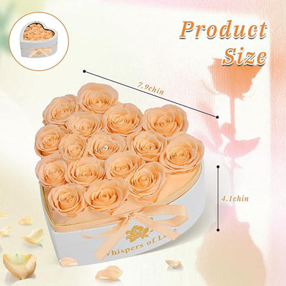 Luxury Preserved Roses – Forever Real Roses Flowers for Delivery in a White Box, Preserved Flowers Birthday Gifts for Women Mom Wife, Ideal for Anniversary (Champagne 16 Roses, 16 Roses)