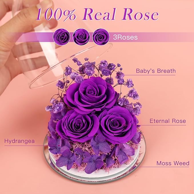 Preserved Flower Rose Gifts for Women, Forever Eternal Fresh Flowers in Glass Angel Figurines Flowers for Delivery Prime Purple Roses for Grandma Mom Sister Her Wife on Mothers Day Birthday Christmas